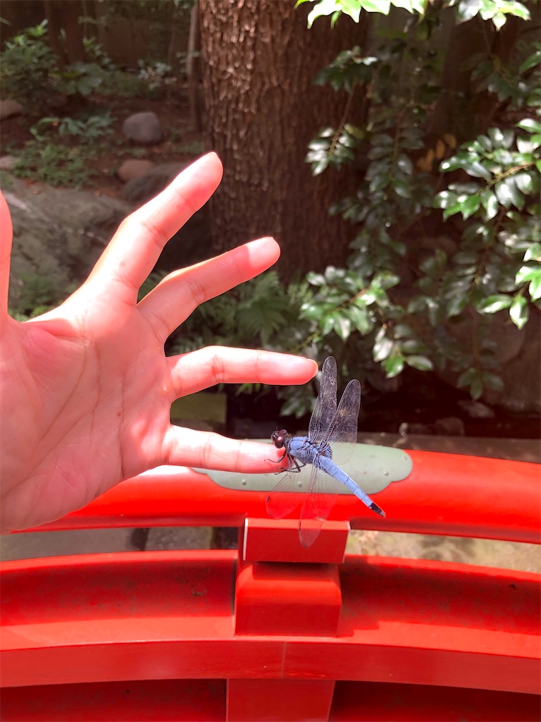 f:id:TeiO_Sekkai:20240729012153j:image