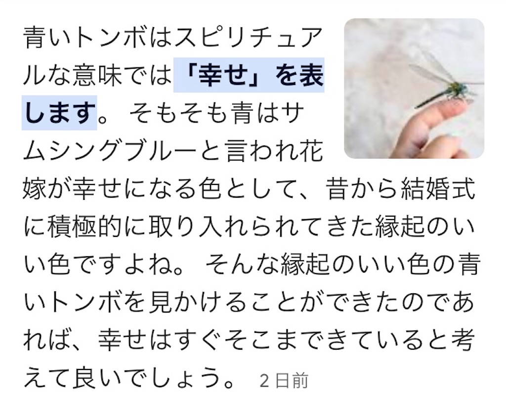 f:id:TeiO_Sekkai:20240729012234j:image