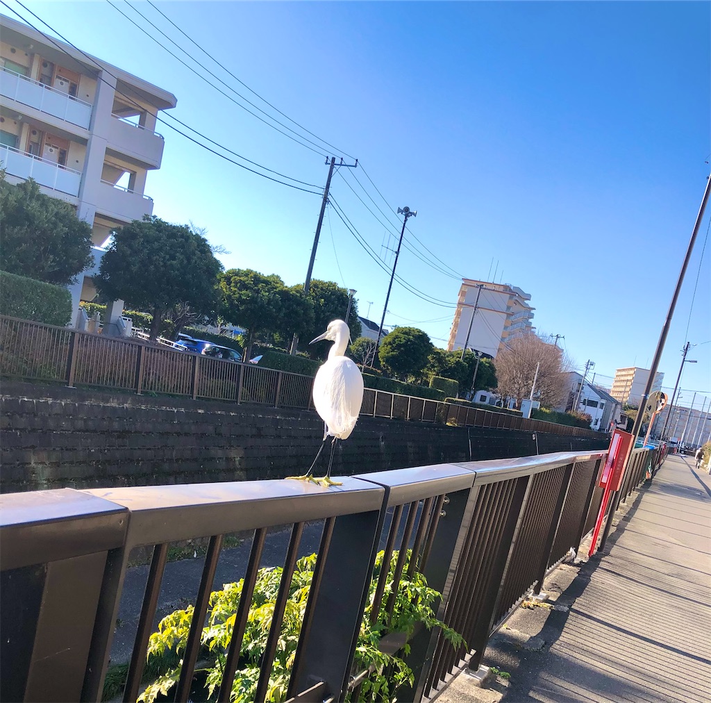 f:id:TeiO_Sekkai:20250111230801j:image