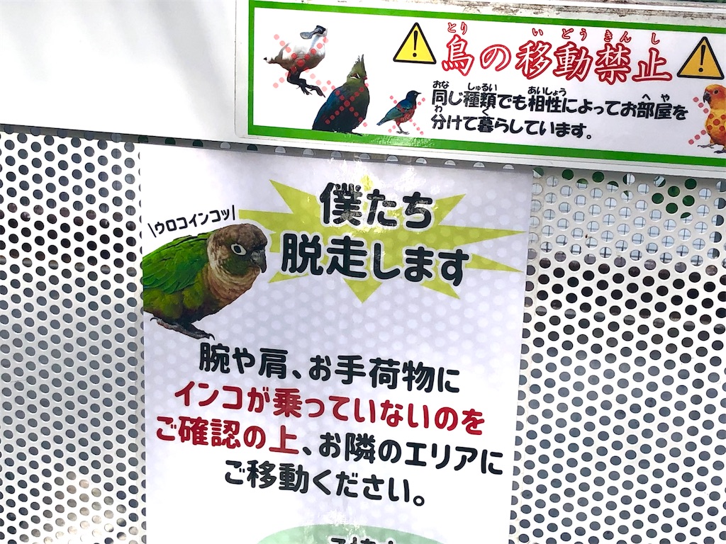 f:id:TeiO_Sekkai:20250210230409j:image