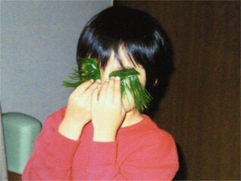 f:id:TeiO_Sekkai:20250507154100j:image f:id:TeiO_Sekkai:20250507154100j:image