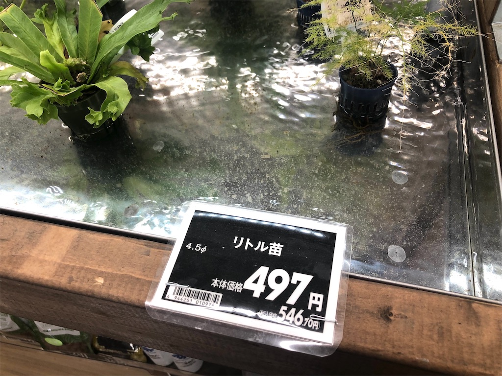 f:id:TeiO_Sekkai:20250530005632j:image f:id:TeiO_Sekkai:20250530005632j:image