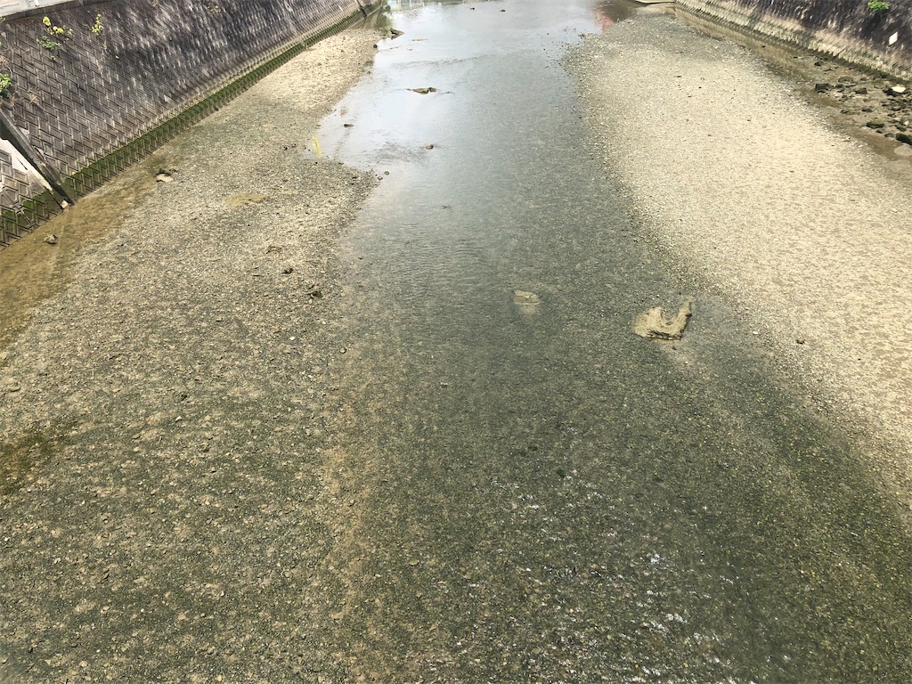 f:id:TeiO_Sekkai:20250711233237j:image f:id:TeiO_Sekkai:20250711233237j:image