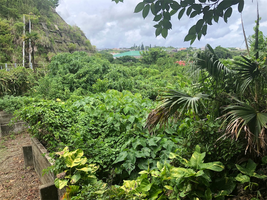 f:id:TeiO_Sekkai:20250713212549j:image f:id:TeiO_Sekkai:20250713212549j:image