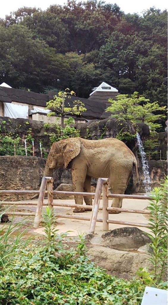 f:id:Tekotsu:20200928064027j:image f:id:Tekotsu:20200928064027j:image