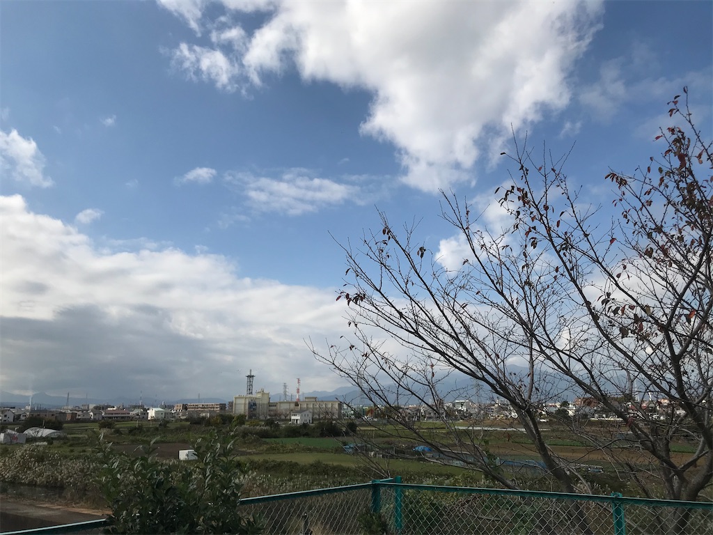 f:id:Tekotsu:20201115145250j:image f:id:Tekotsu:20201115145250j:image