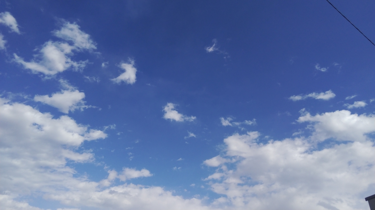 f:id:Tekubura:20210227082530j:plain