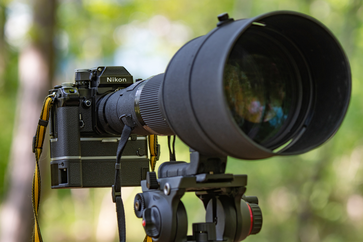 f:id:Telephoto_lover_blog:20211026093740j:plain