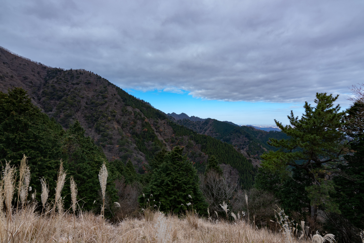 f:id:Telephoto_lover_blog:20211220012727j:plain