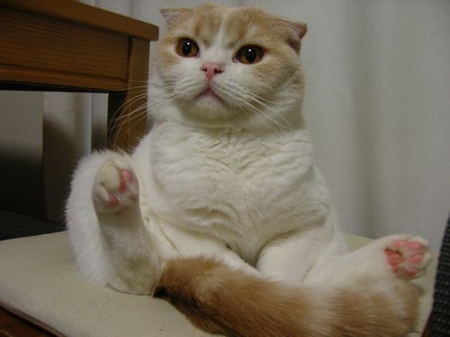 f:id:Temper:20091031141205j:image f:id:Temper:20091031141205j:image