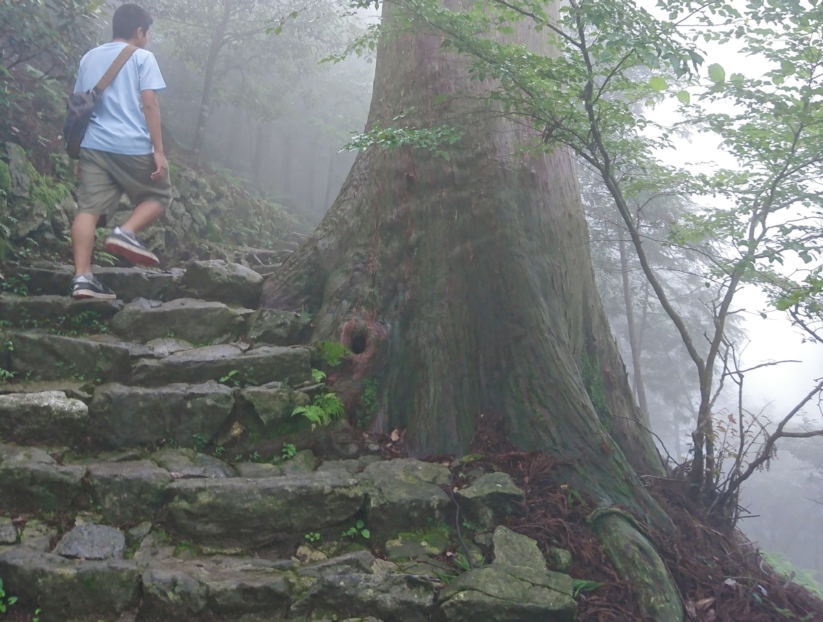 Rugged stairs