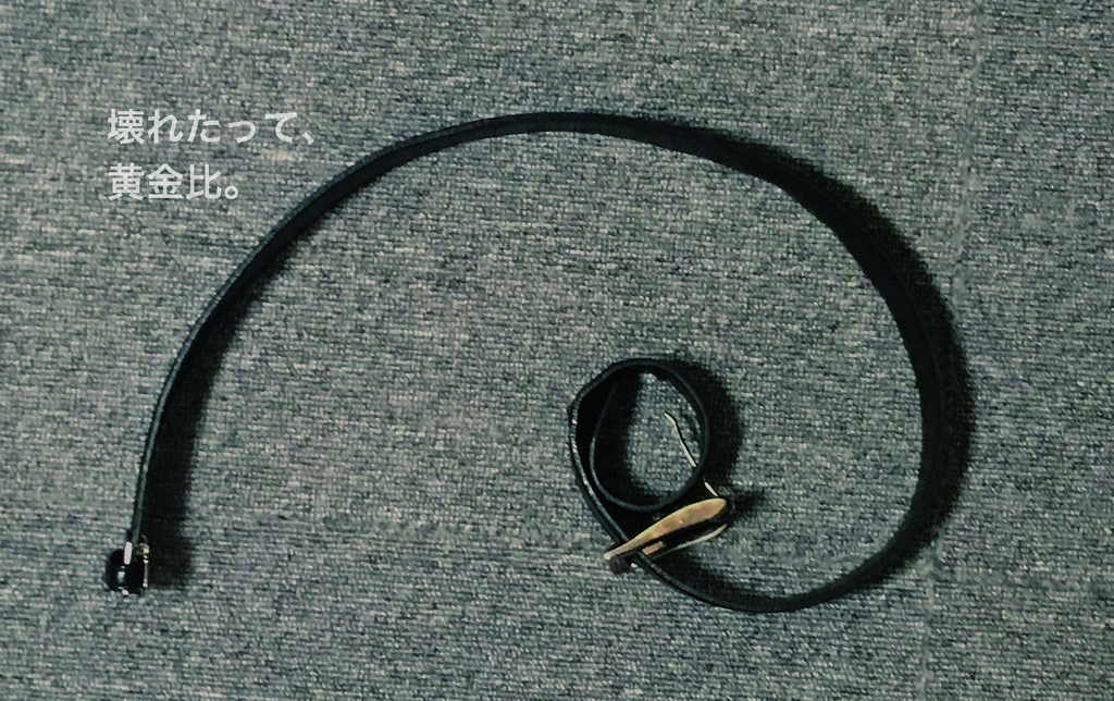 f:id:Tenju:20190204203528j:plain