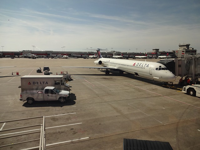 f:id:Tennessee-whiskey:20180326124708j:plain デルタ航空 口コミ