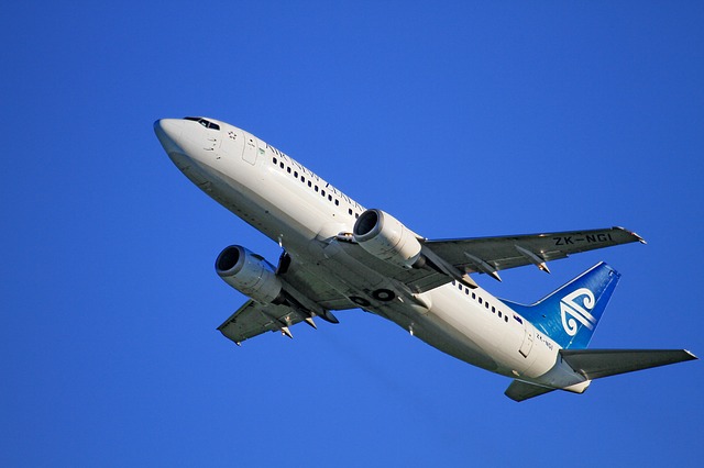 f:id:Tennessee-whiskey:20180509132126j:plain ニュージーランド航空 エコノミークラス評判