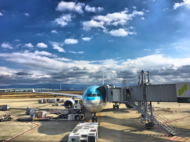 f:id:Tennessee-whiskey:20180806205704j:plain 大韓航空 口コミ