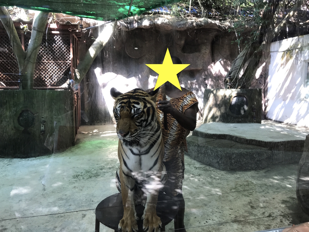 f:id:Tennessee-whiskey:20181121211549j:plain f:id:Tennessee-whiskey:20181121211549j:plain