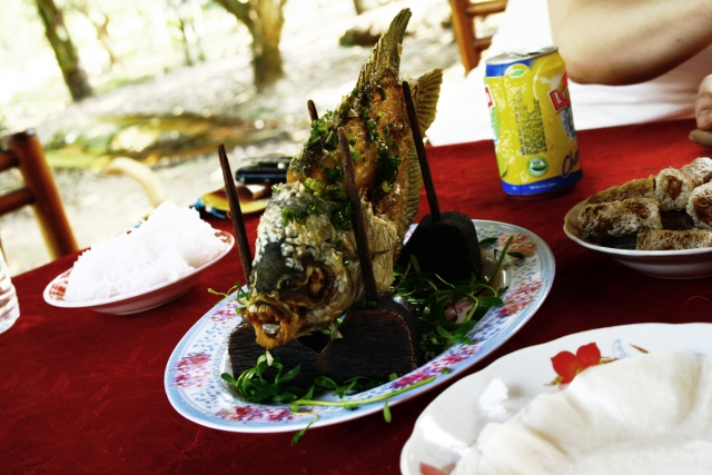 f:id:Tennessee-whiskey:20190325223840j:plain 象耳魚