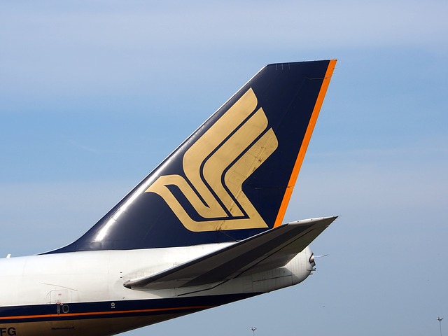 f:id:Tennessee-whiskey:20190410231504j:plain シンガポール航空 口コミ