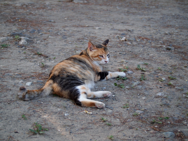 f:id:Tensor:20110717171707j:image:left:w450