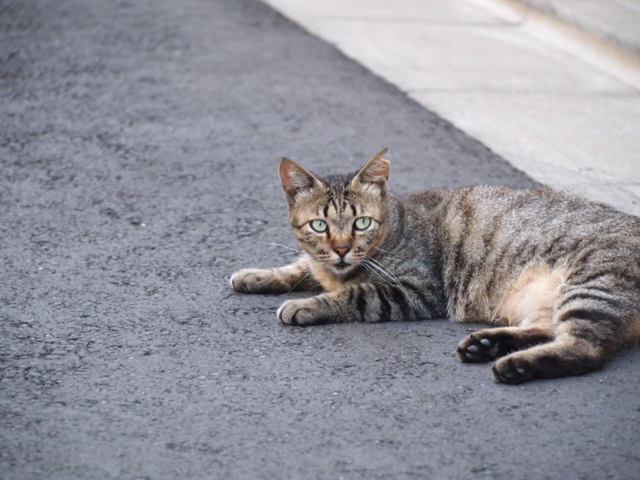 f:id:Tensor:20110717171951j:image:left:w450