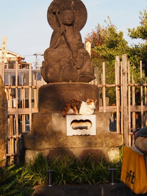 f:id:Tensor:20111113150117j:image:left:h450