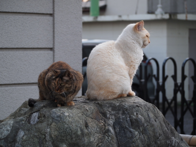 f:id:Tensor:20111113150407j:image:left:w450