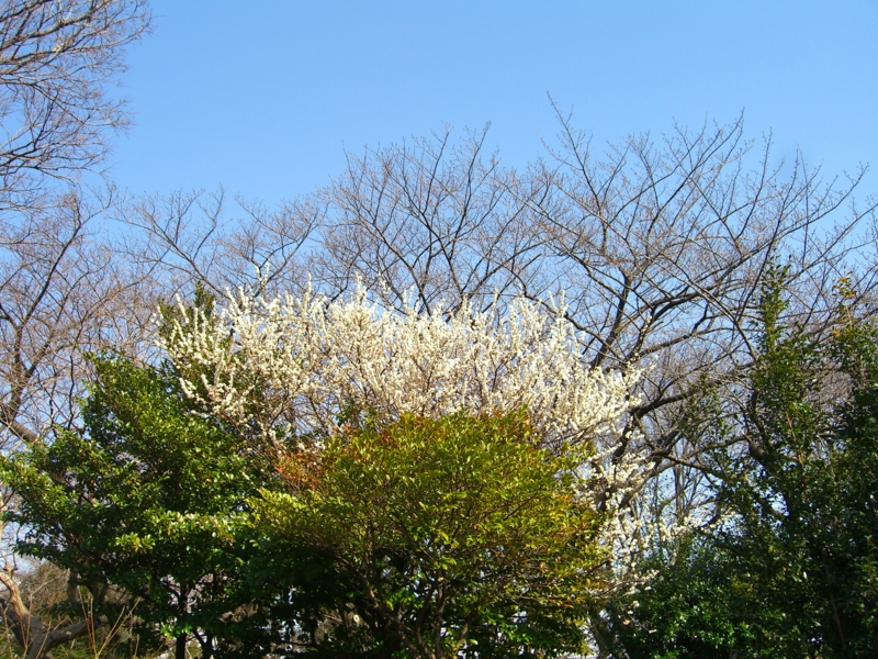 f:id:TeramotoM:20050112000337j:image:w360