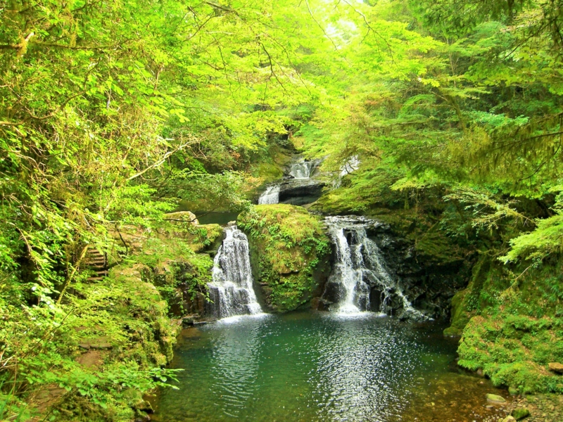 f:id:TeramotoM:20060926140652j:image:w360 f:id:TeramotoM:20060926140652j:image:w360