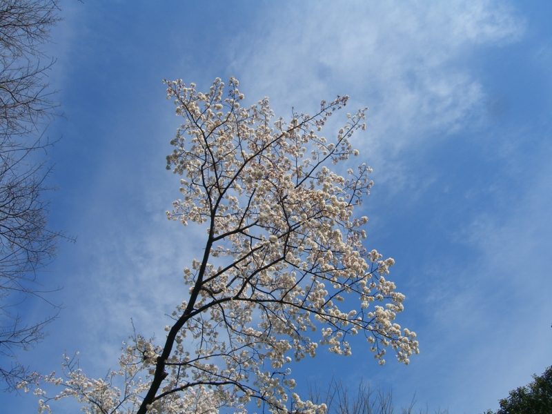 f:id:TeramotoM:20100327145349j:image:w360