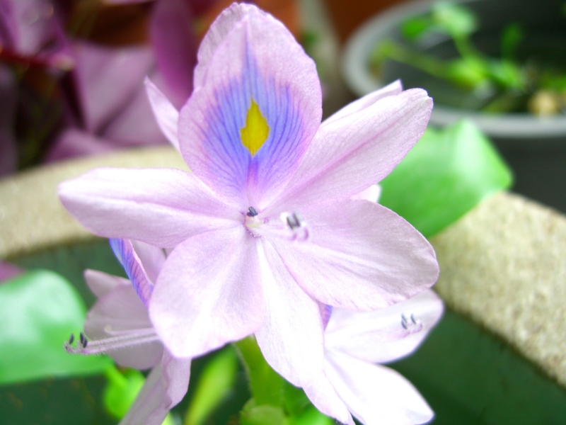 f:id:TeramotoM:20100916222034j:image:w360