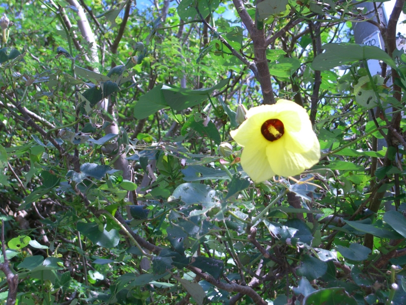 f:id:TeramotoM:20110716095702j:image:w360