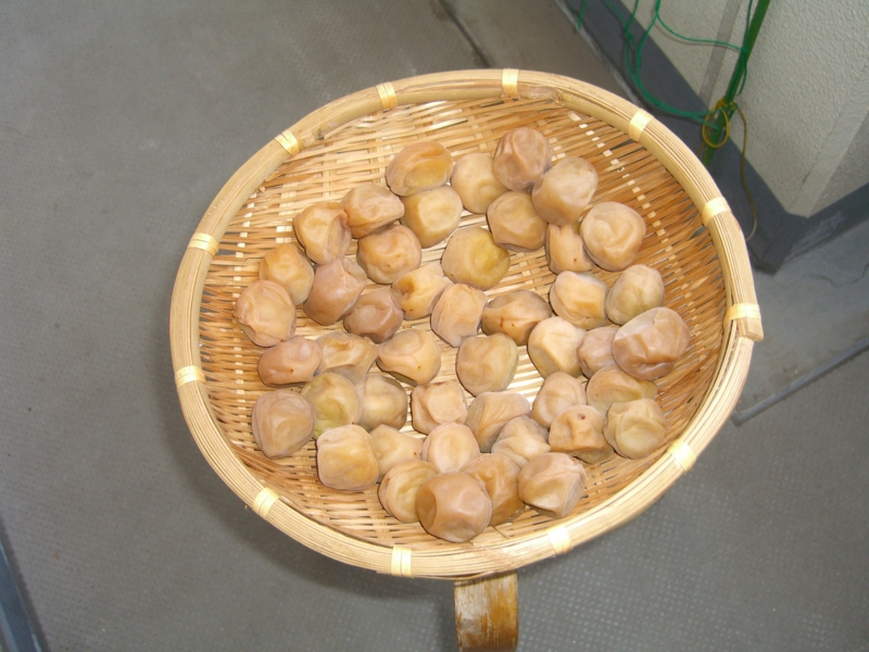 f:id:TeramotoM:20110725133340j:image:w360 f:id:TeramotoM:20110725133340j:image:w360