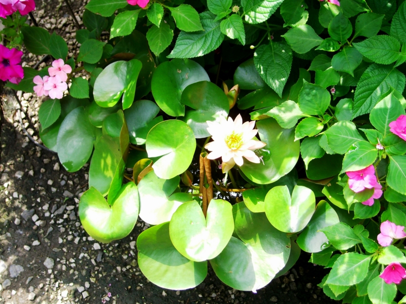 f:id:TeramotoM:20110730132736j:image:w360