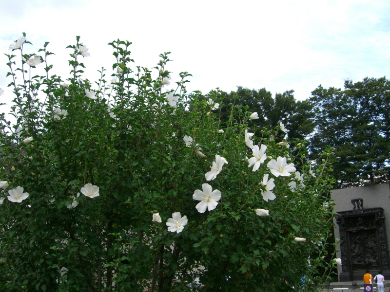 f:id:TeramotoM:20110730153157j:image:w360 f:id:TeramotoM:20110730153157j:image:w360