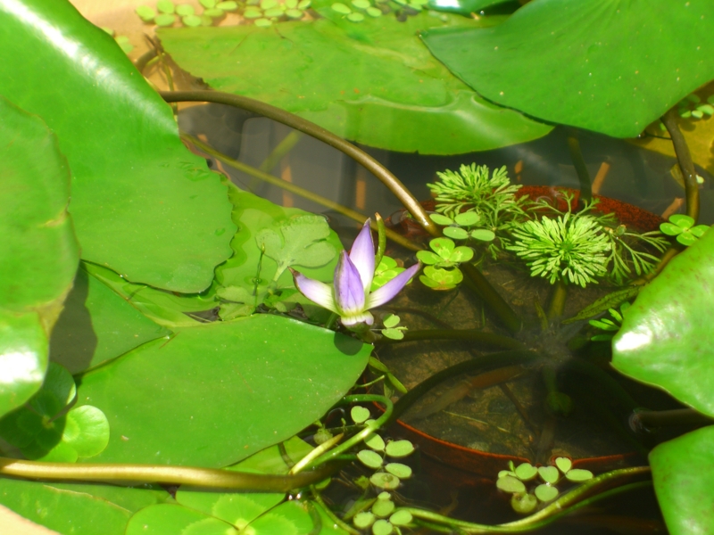f:id:TeramotoM:20110826091447j:image:w360