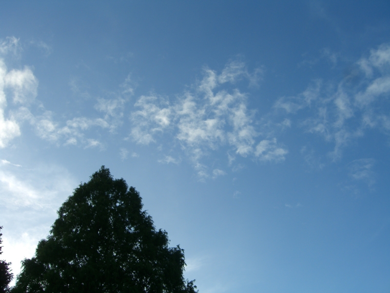 f:id:TeramotoM:20110903163729j:image:w360