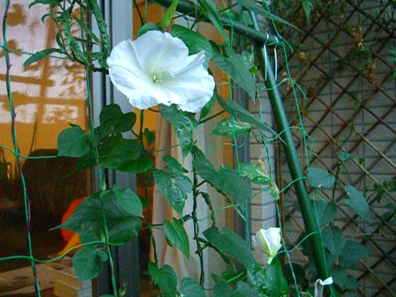 f:id:TeramotoM:20110905174558j:image:w360