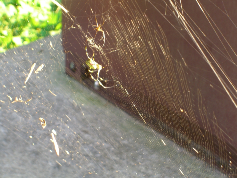 f:id:TeramotoM:20111004155404j:image:w360