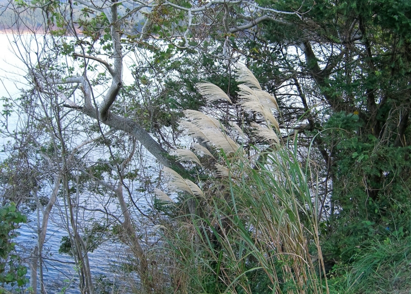 f:id:TeramotoM:20111004155625j:image:w360