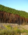 f:id:TeramotoM:20111004161421j:image:medium