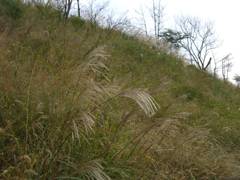 f:id:TeramotoM:20111005093409j:image:w360