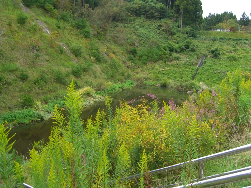 f:id:TeramotoM:20111005113517j:image:w360 f:id:TeramotoM:20111005113517j:image:w360
