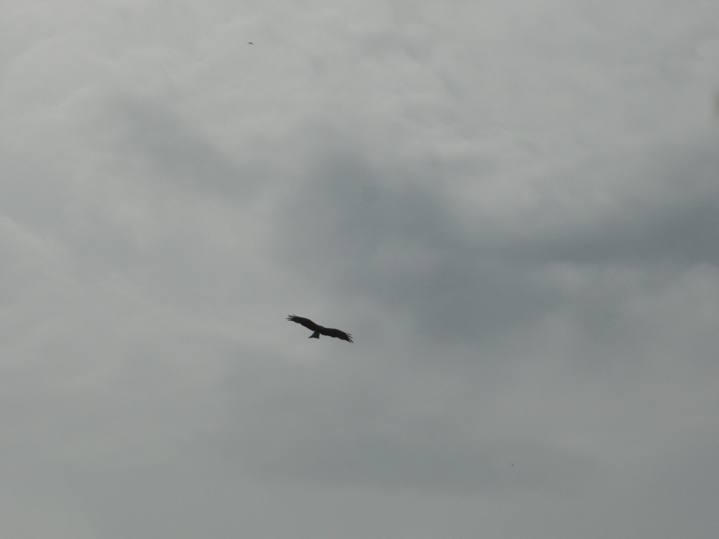 f:id:TeramotoM:20111005120507j:image:w360