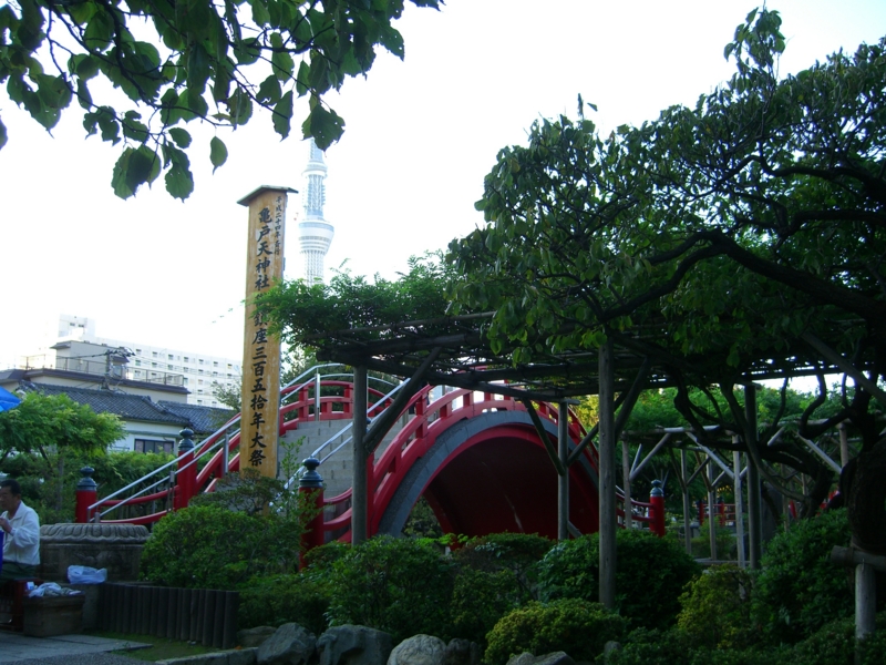 f:id:TeramotoM:20111016160319j:image:w360