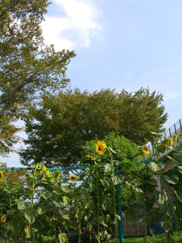 f:id:TeramotoM:20111025123237j:image:w360 f:id:TeramotoM:20111025123237j:image:w360