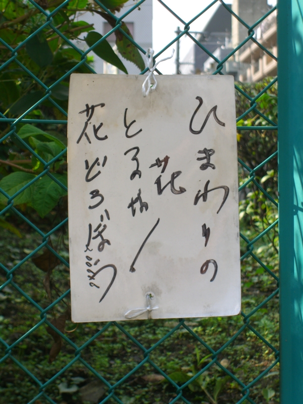 f:id:TeramotoM:20111025123252j:image:w360 f:id:TeramotoM:20111025123252j:image:w360