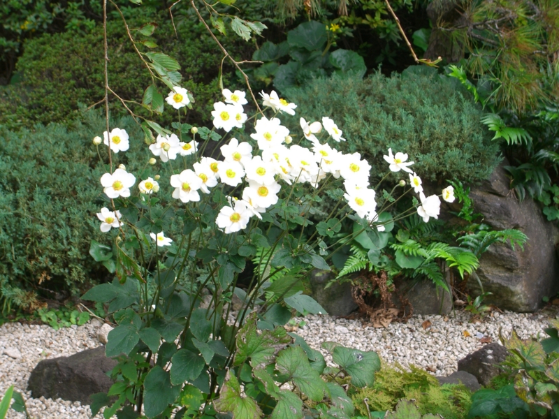 f:id:TeramotoM:20111030105636j:image:w360