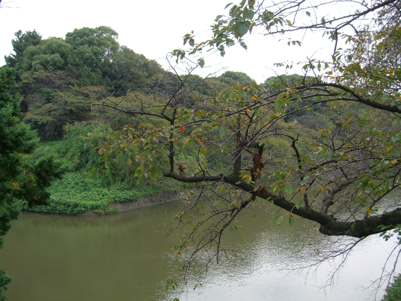 f:id:TeramotoM:20111030115022j:image:w360