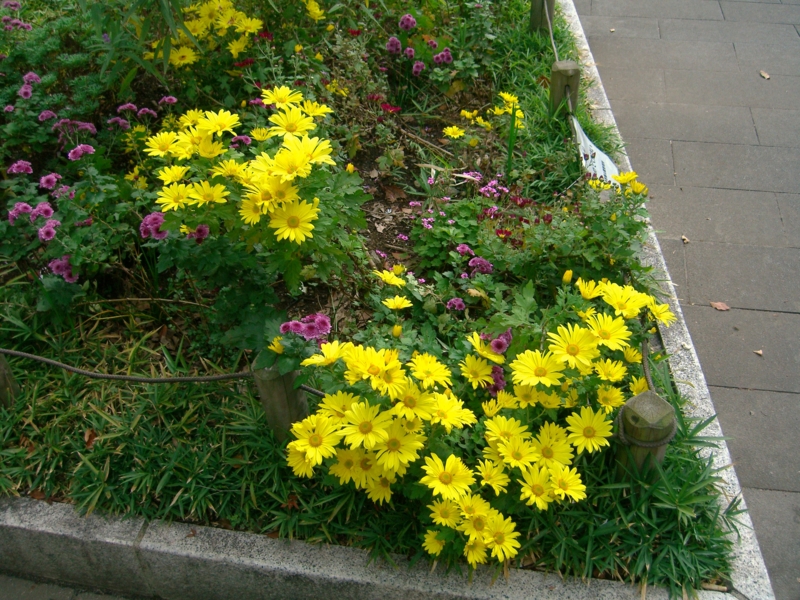 f:id:TeramotoM:20111107141309j:image:w360 f:id:TeramotoM:20111107141309j:image:w360