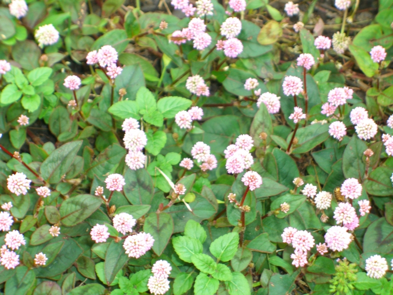 f:id:TeramotoM:20111113133638j:image:w360